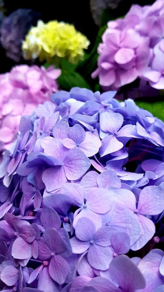 Фотография автора Kate Fontaine