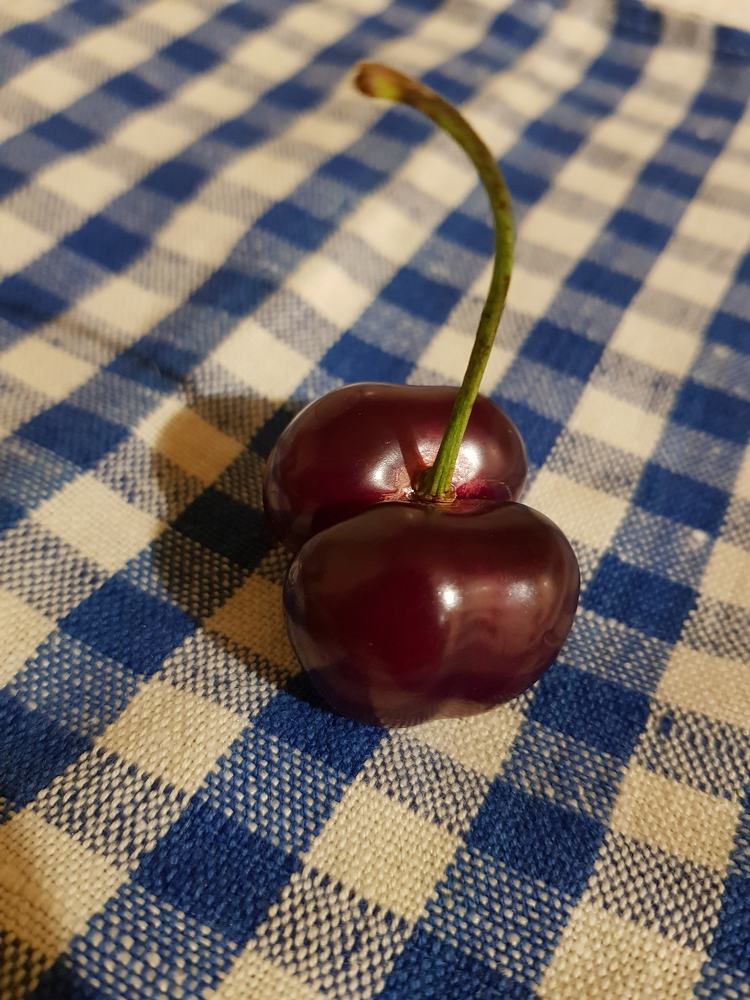 Twin cherries