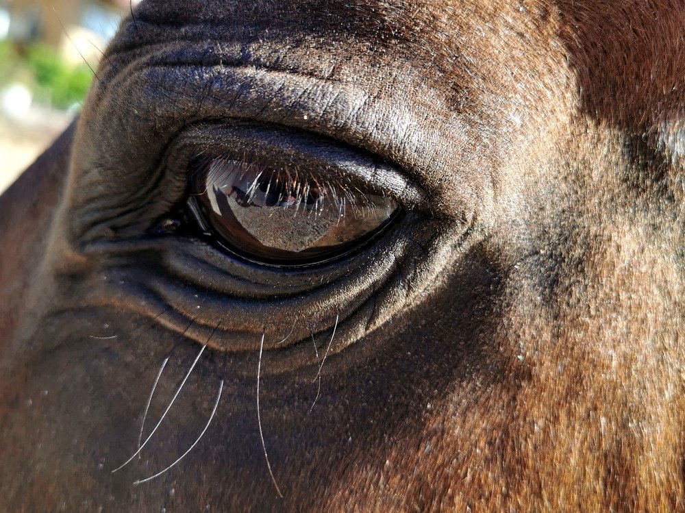 Photograph by Ирина Онер