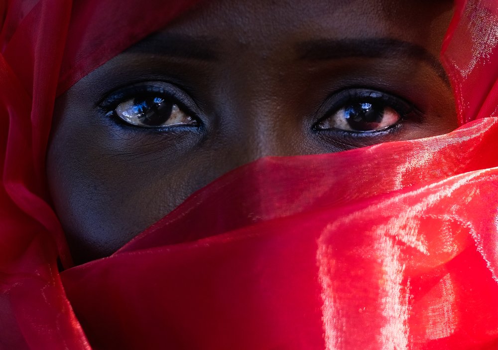 Фотография автора Mojtaba Chenari