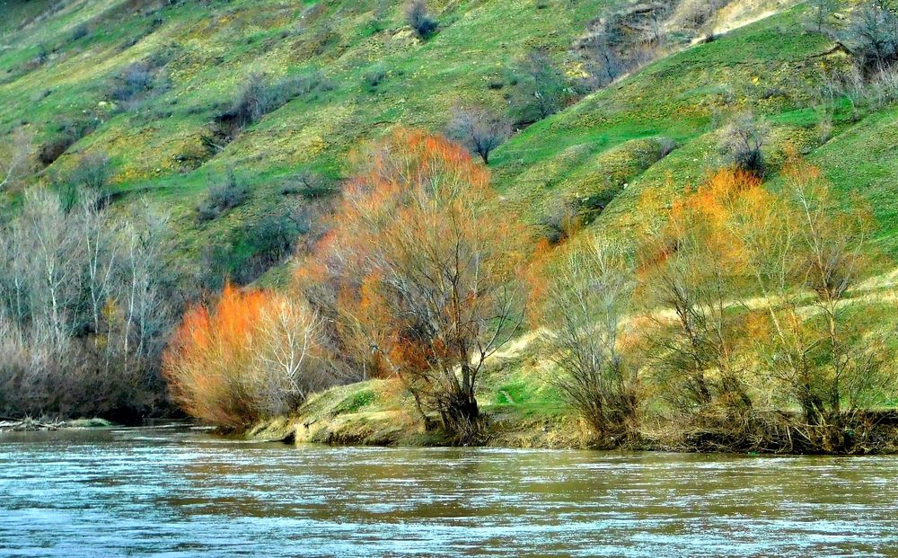 Photograph by Светлана Карпенко