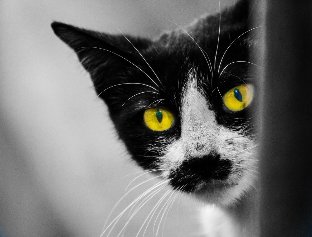 Photograph by Masum Mr