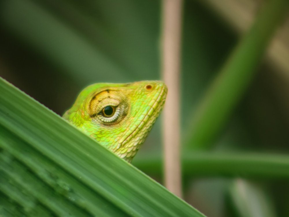 Photograph by Masum Mr