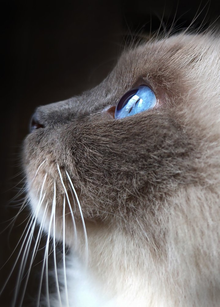 Photograph by Irina Galkina