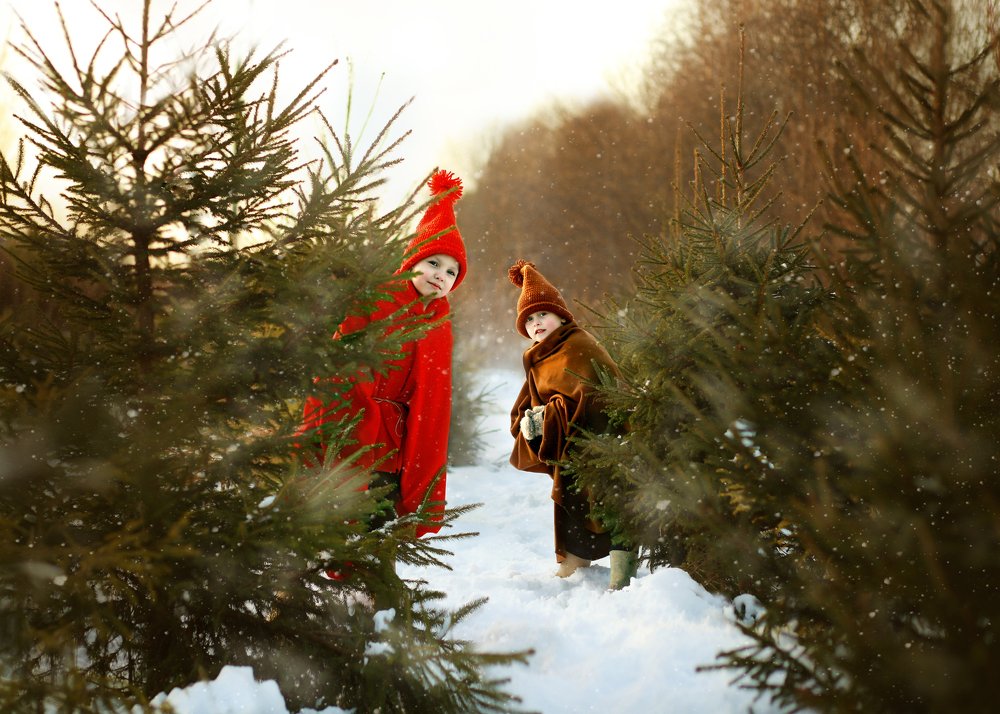 Photograph by Мария Петухова