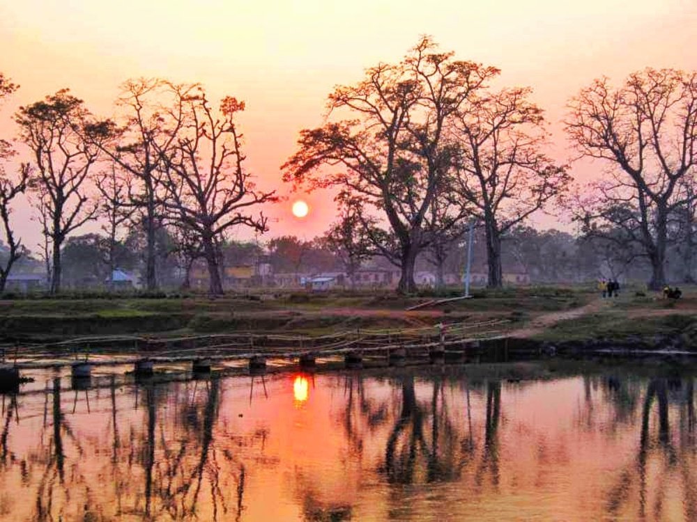 World heritage site Chitwan National park.