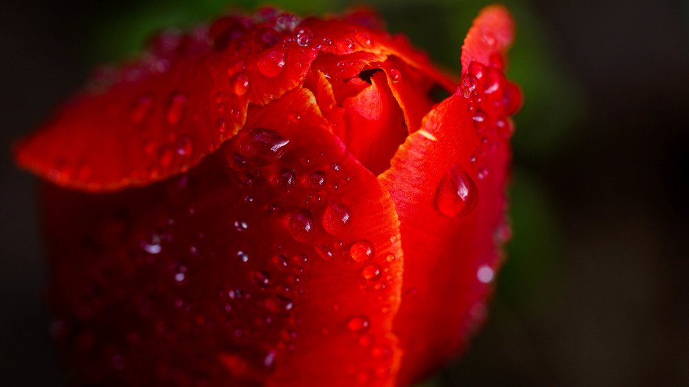 Фотография автора Дмитрий Земсков