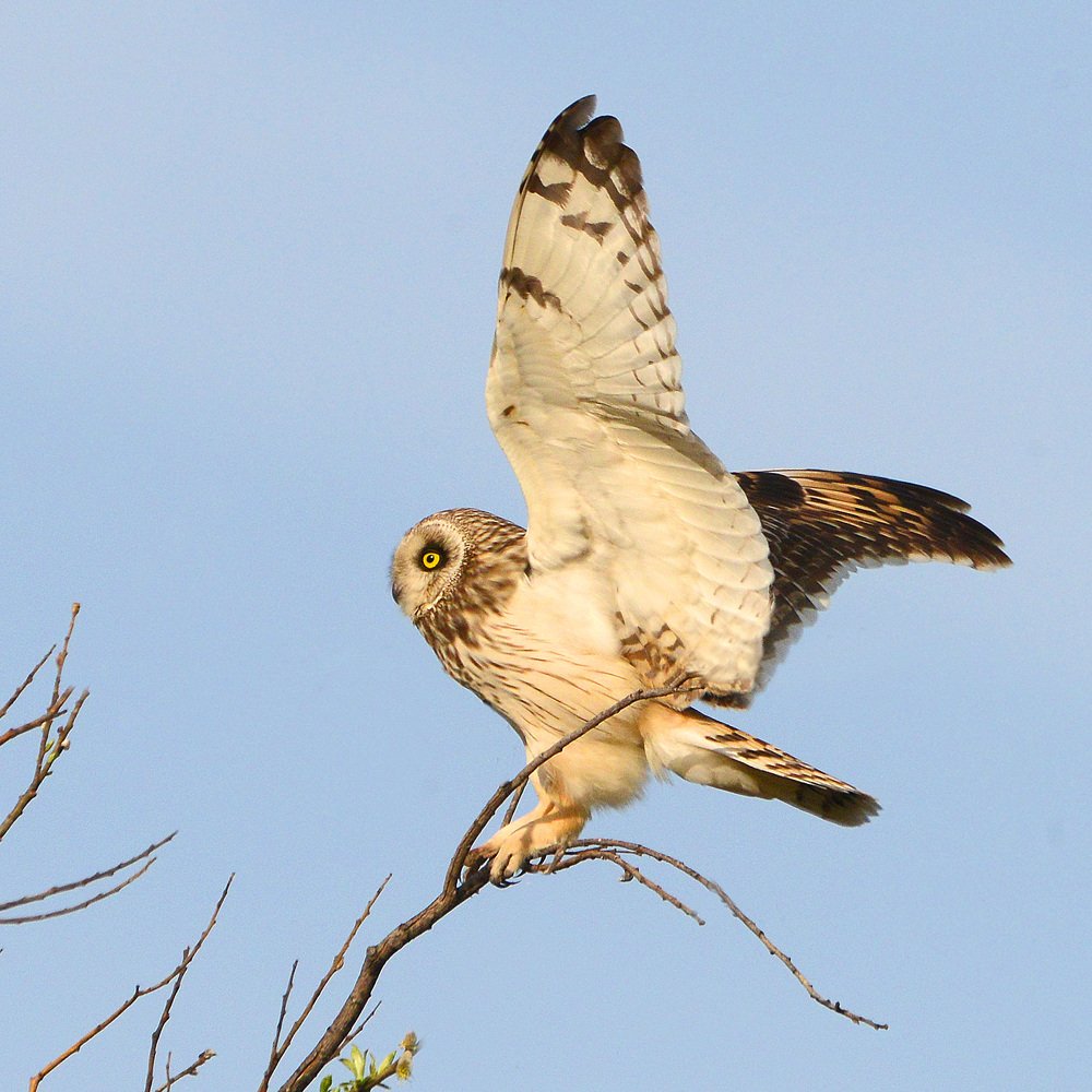 В поисках равновесия.