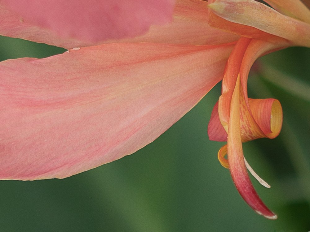 Photograph by Ja Flup