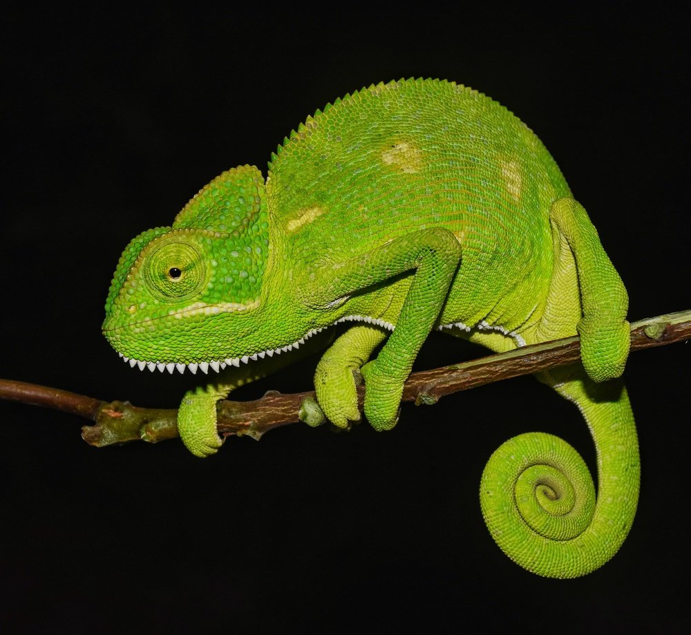 Photograph by AMIT CHAVAN