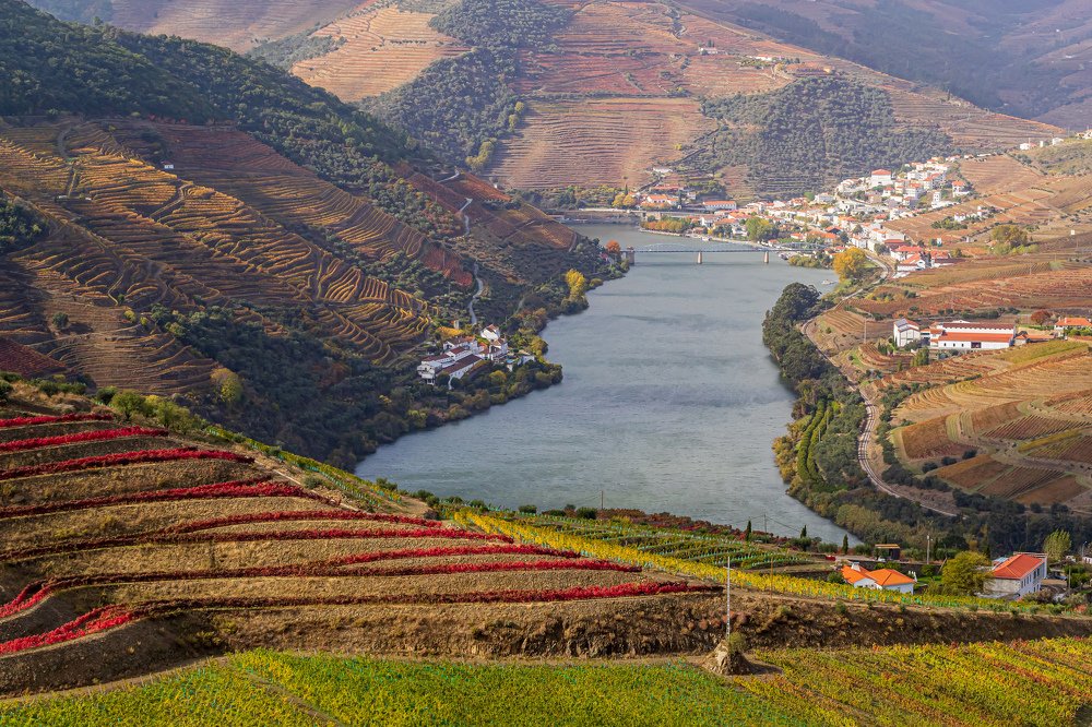 Photograph by Jaime Pereira