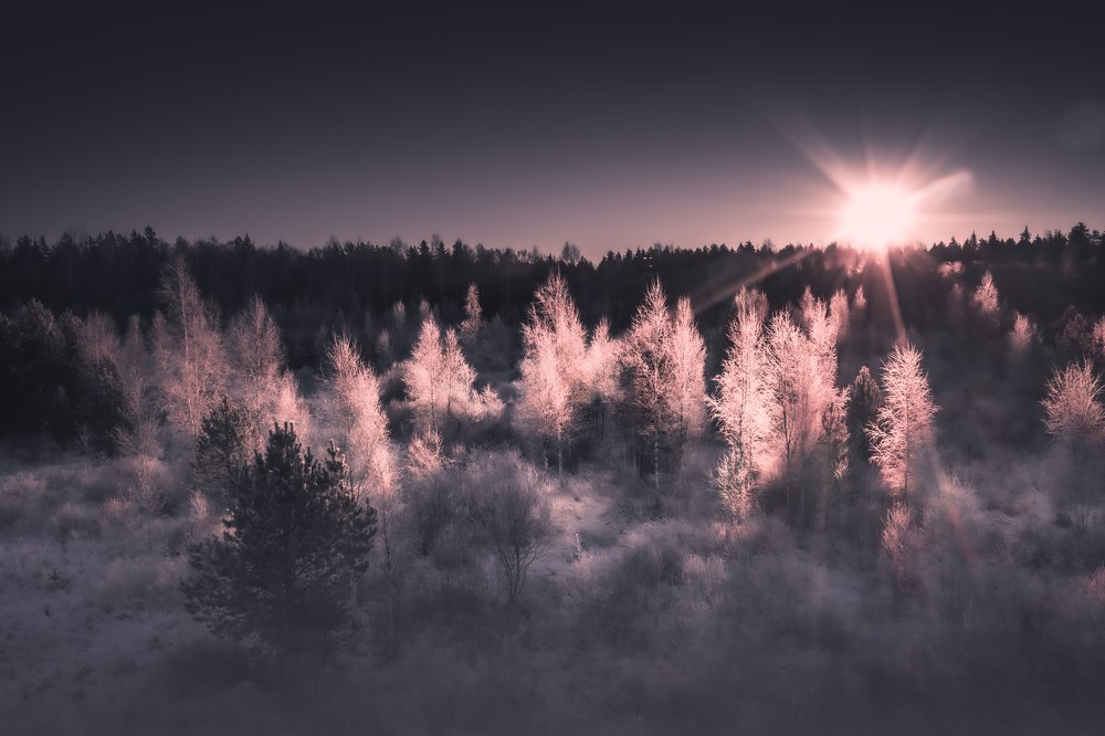 Photograph by Vladimir Golubev