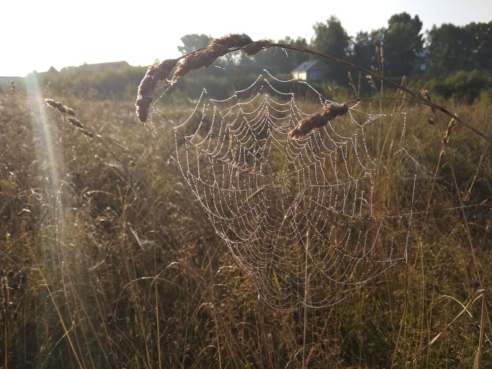 Photo #5535630