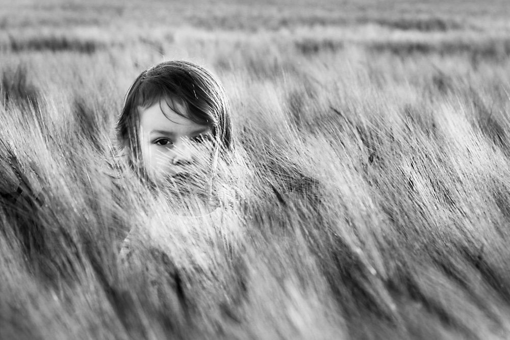 Photograph by Наталья Гайдар