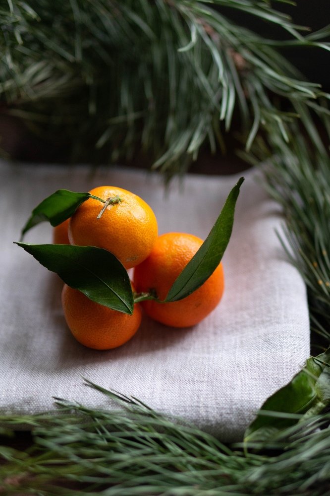 Photograph by Анна Рябцева