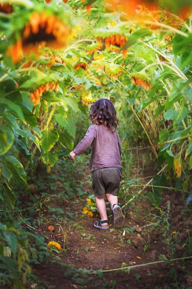 Photograph by Наталья Гайдар