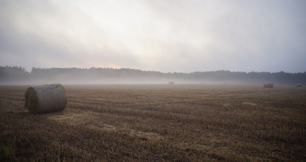 Photograph by Анна Рябцева
