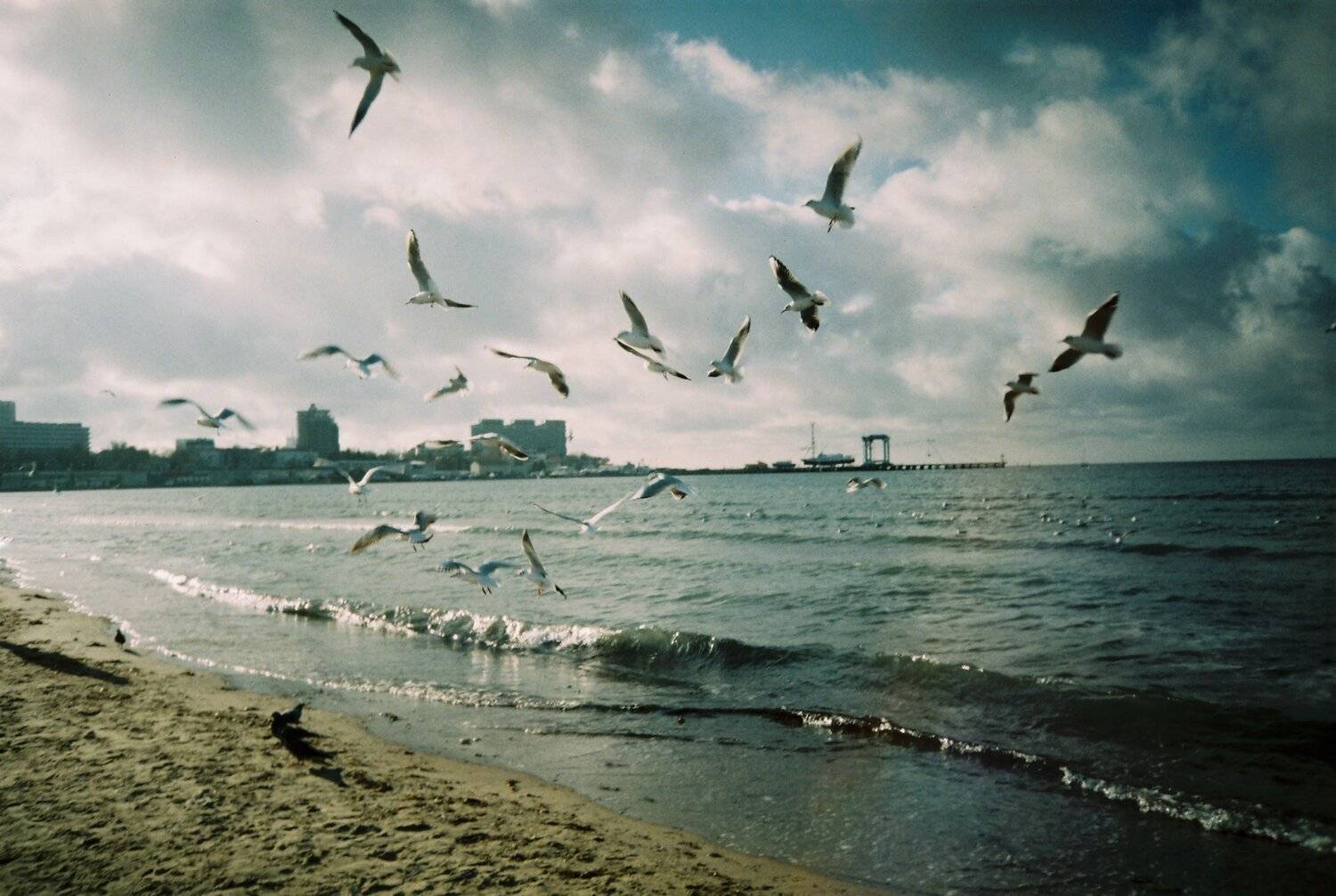 Photo #5535678