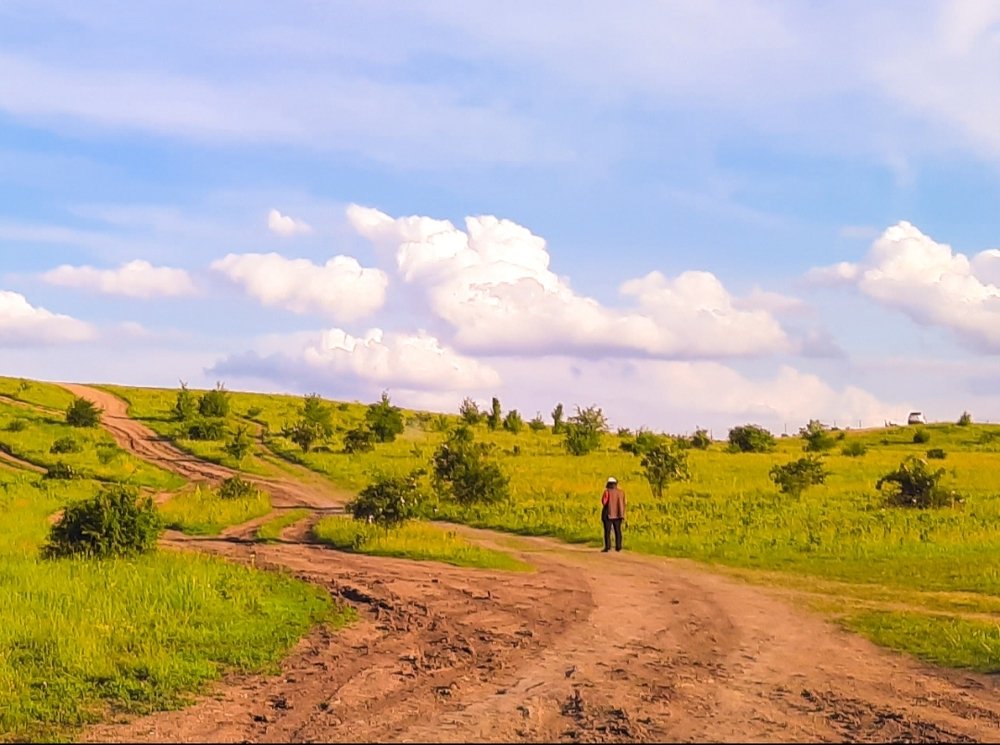 Photograph by Светлана Антонова