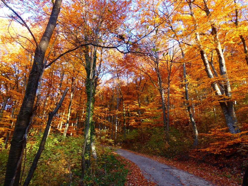Photograph by Ваня Райчева