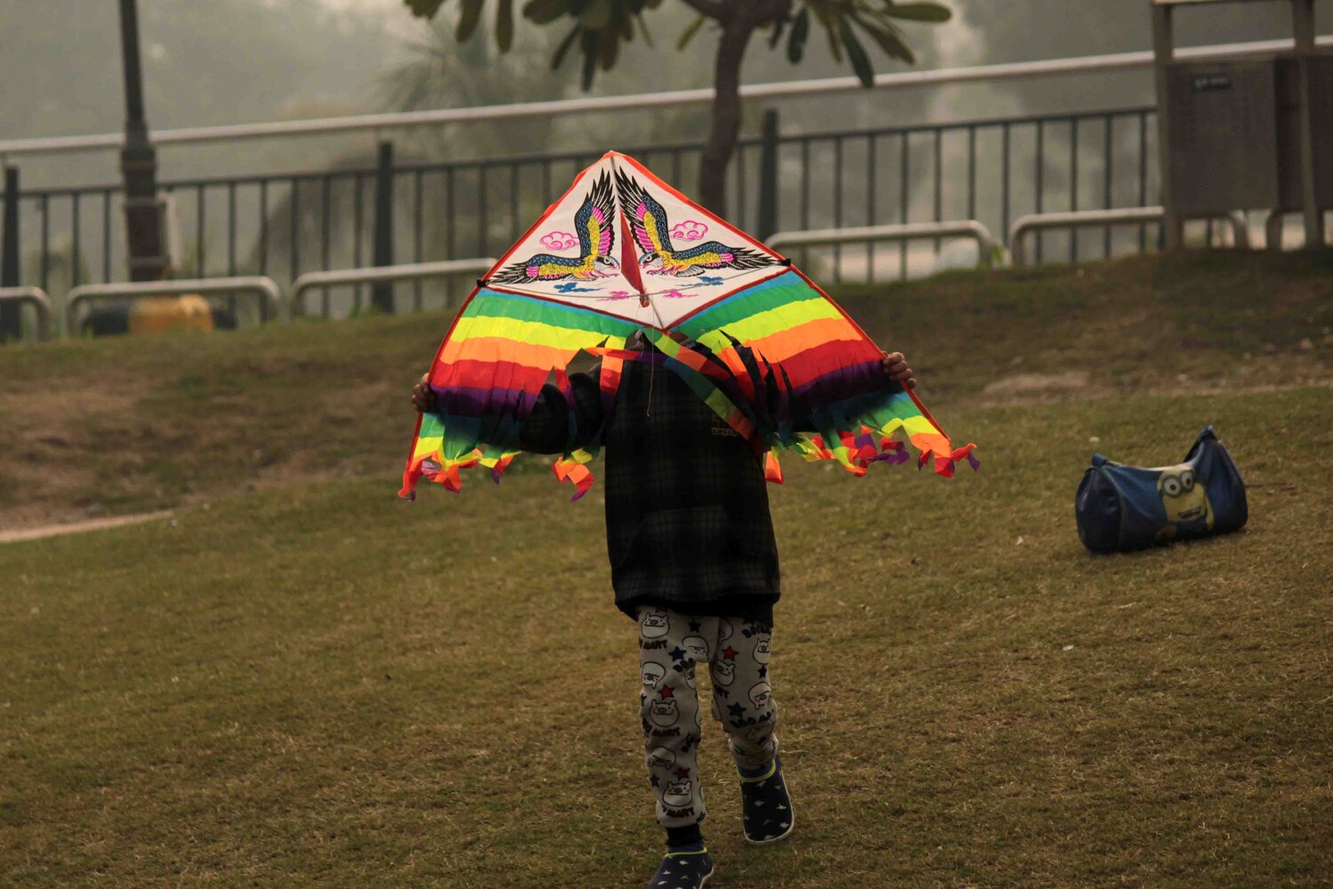 The Kite Runner