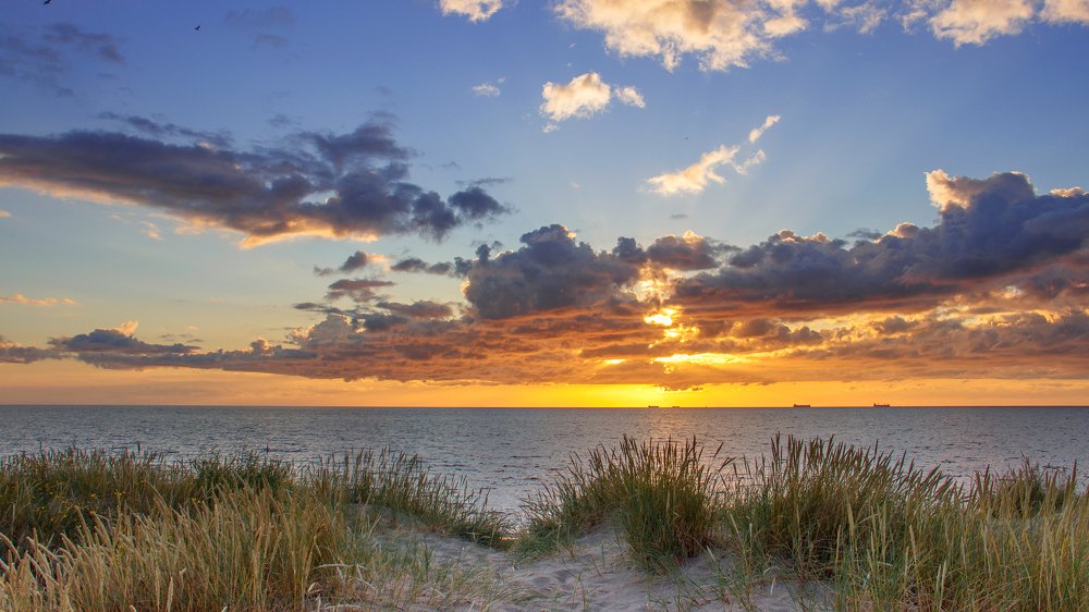 У берега моря, у солнца заката / By the seashore, by the sunset