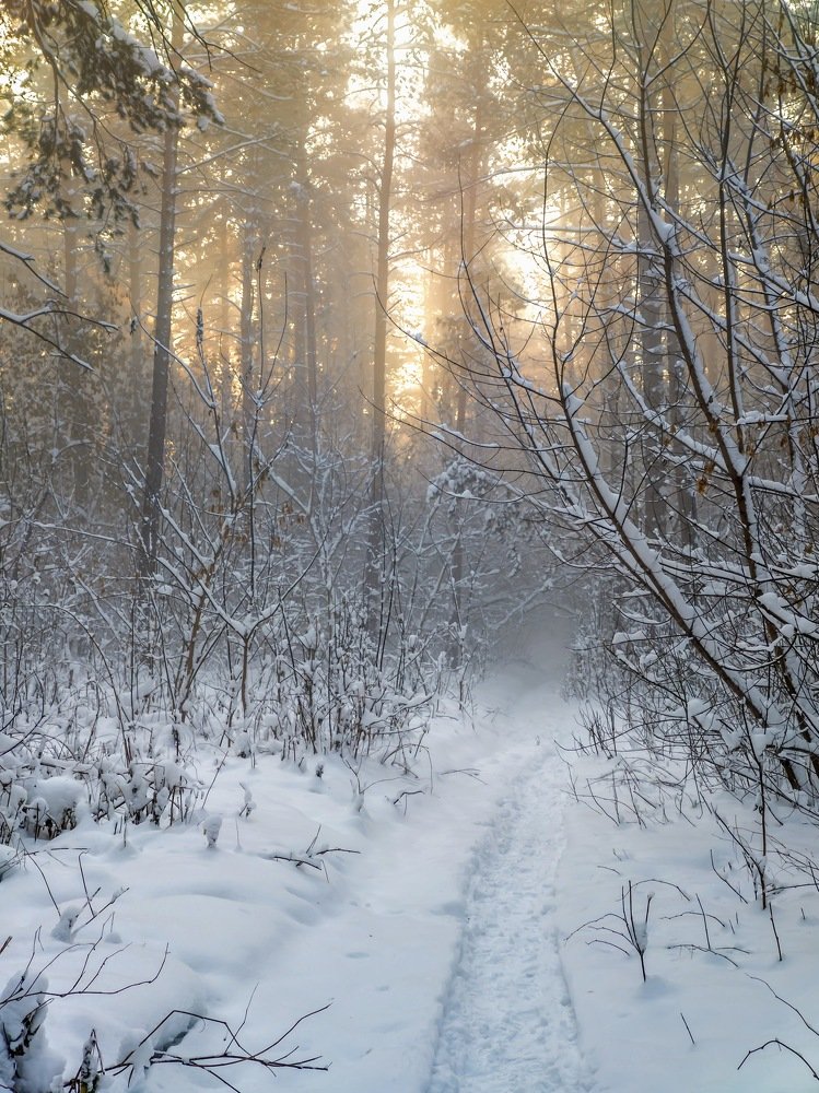 Photograph by Дмитрий Кузнецов