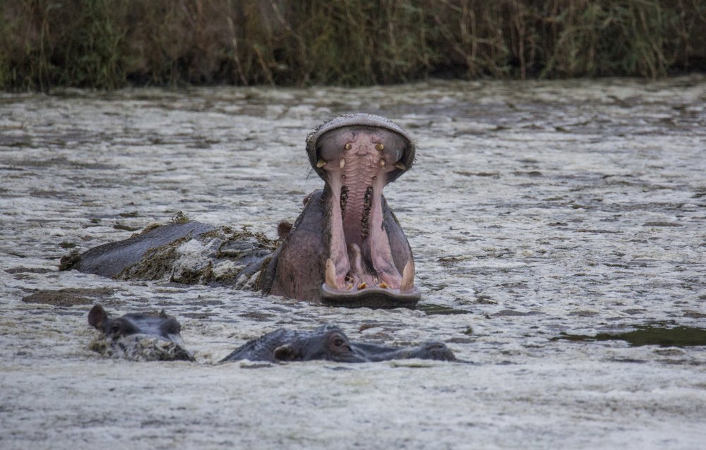 Photograph by Максимов Андрей