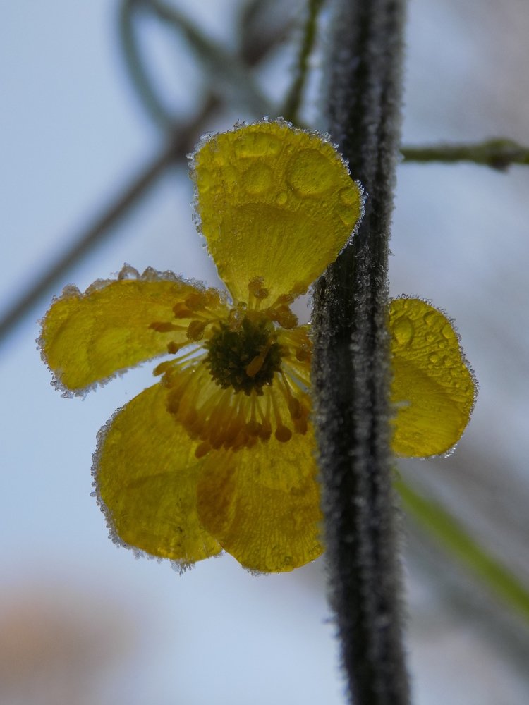 Photograph by Виктория Подрезова