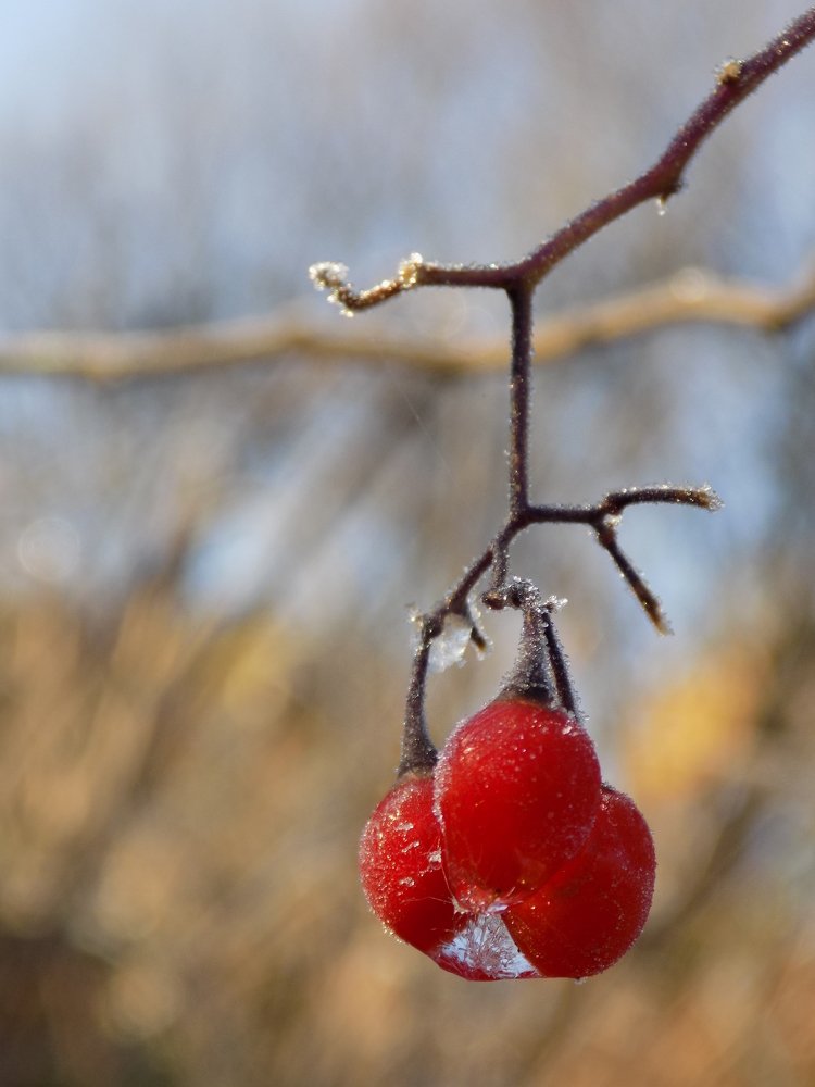 Photograph by Виктория Подрезова