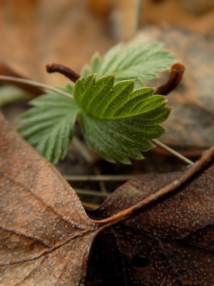 Photograph by Виктория Подрезова