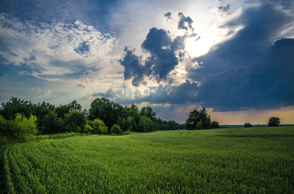 Фотография автора Irina Vornacheva