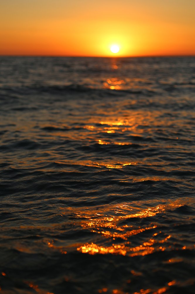 Photograph by Наталья Юминова