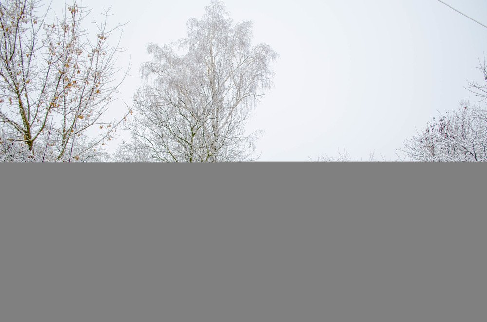 Фотография автора Irina Vornacheva