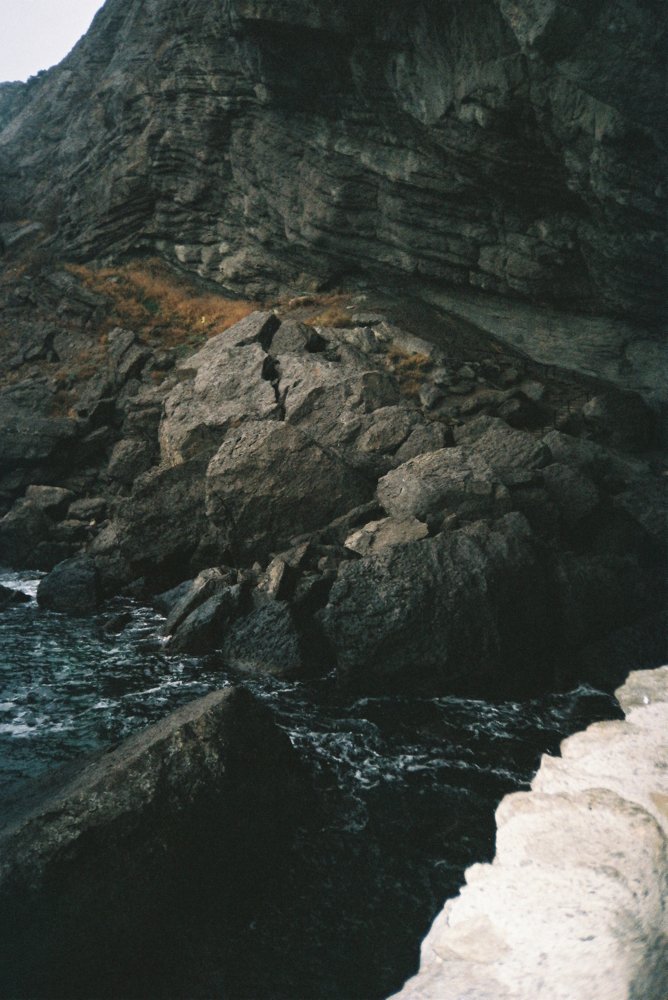 Photo #5536039