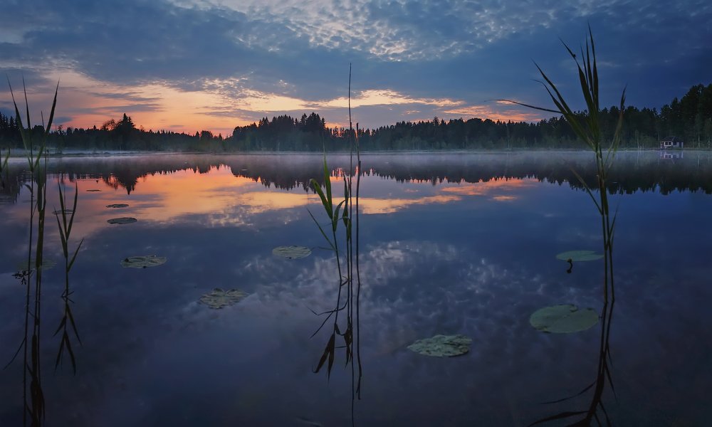 Photograph by Таня SHE (Aiya)