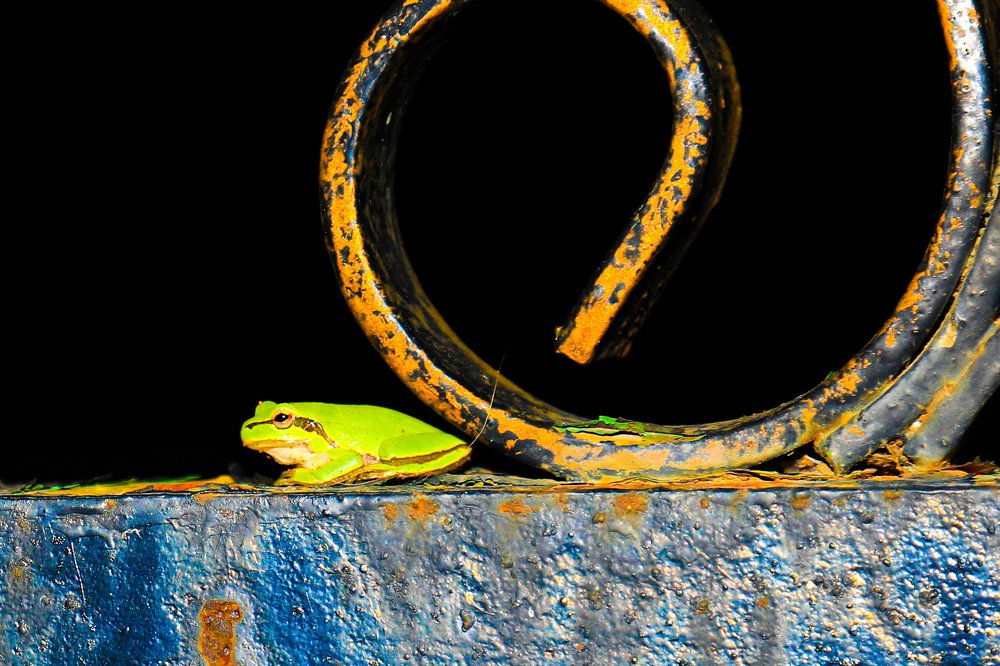 Photograph by Mohanad Aljammasi