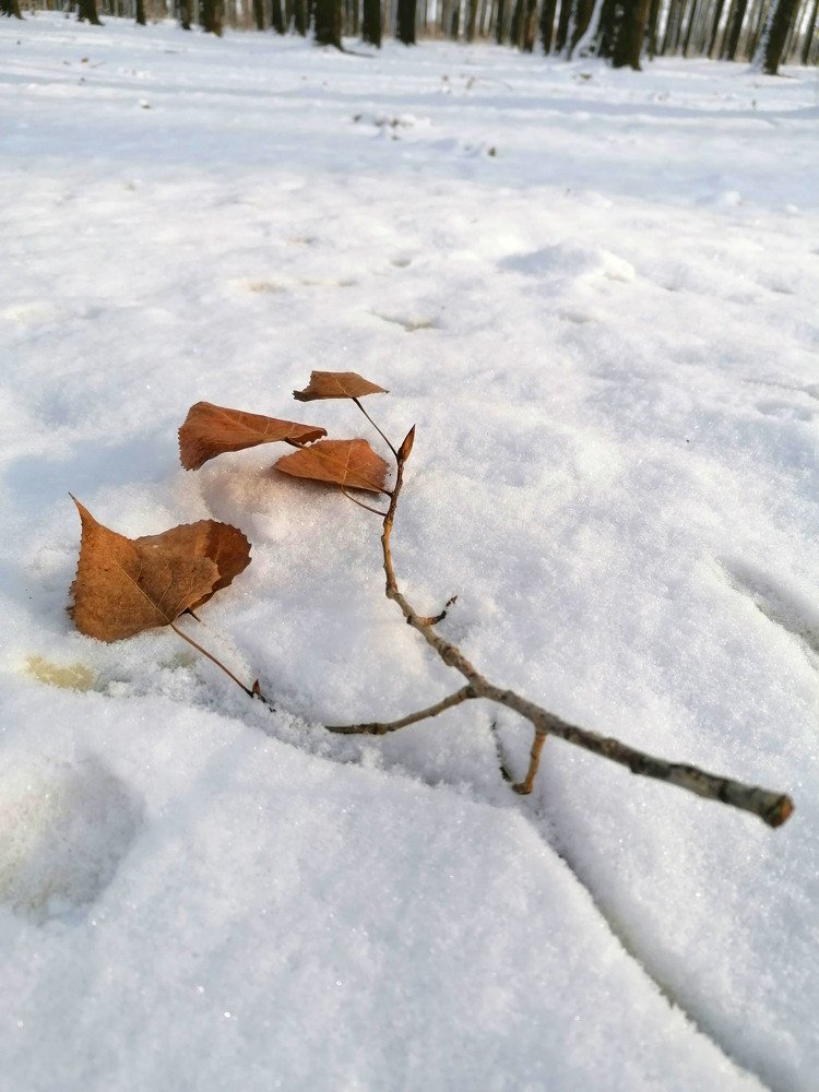 Photograph by Екатерина Комарова