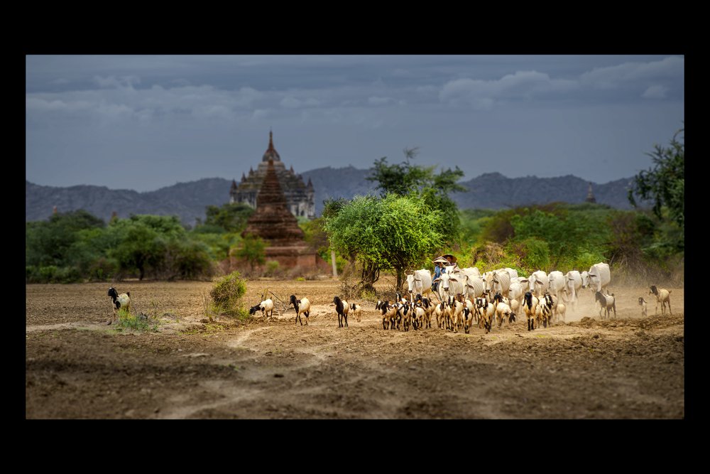 Photograph by Phyo Moe