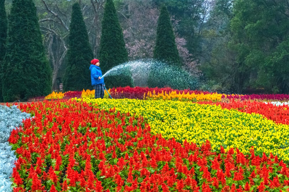 Photograph by Phyo Moe