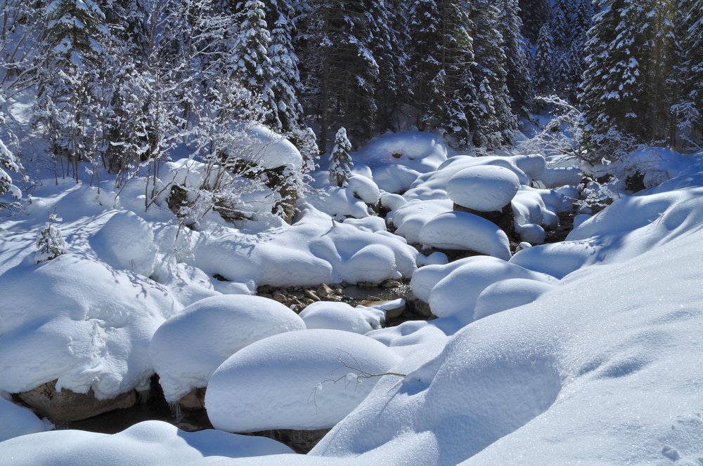 Photograph by Евгений