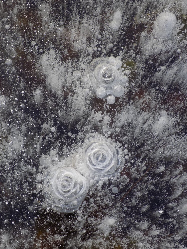 Сказки льда.