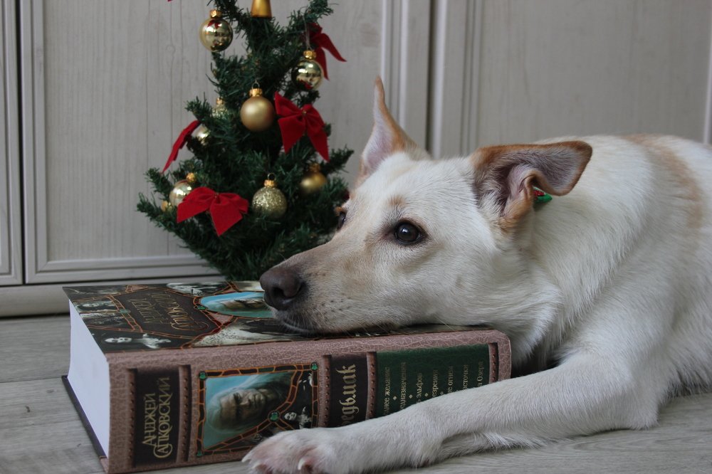 Photograph by Юлия