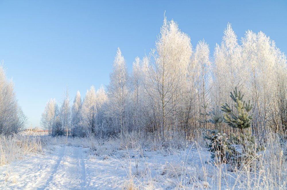 Photograph by Денис Кичев