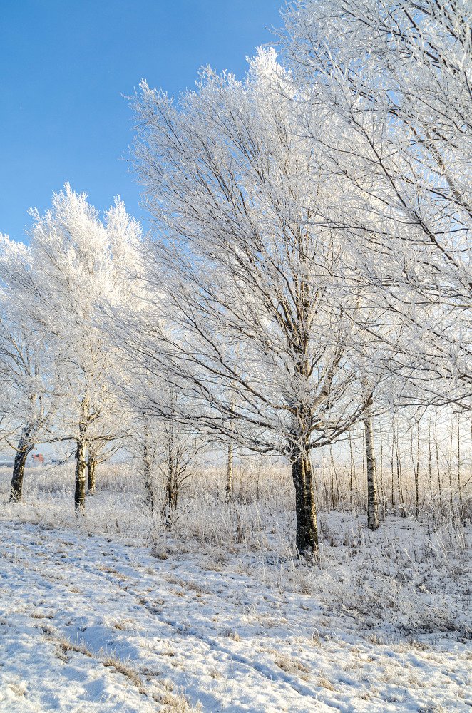 Photograph by Денис Кичев