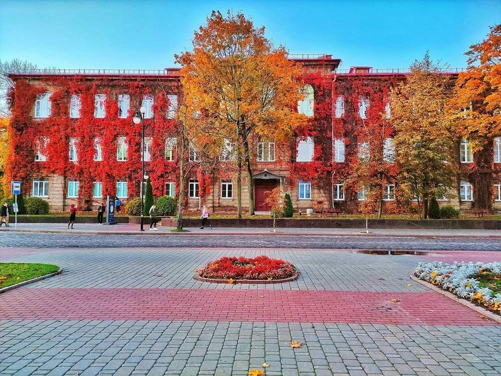 ГрГУ имени Янки Купалы