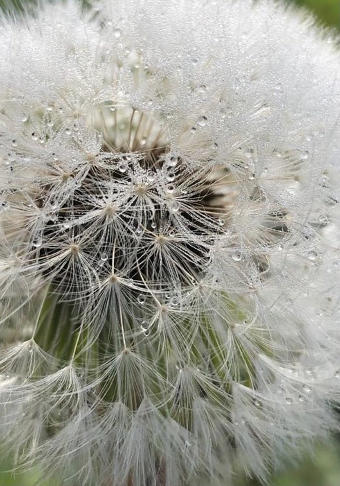 Photograph by Алена Жирова