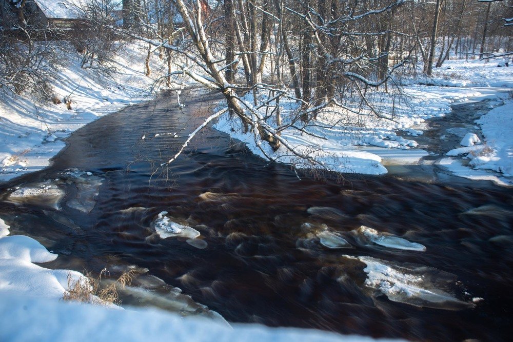 Фотография автора Aлексей Игнатьев