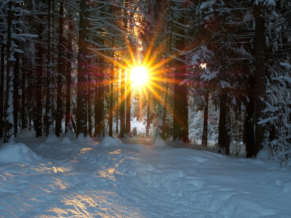 Photograph by Алексей Долженко