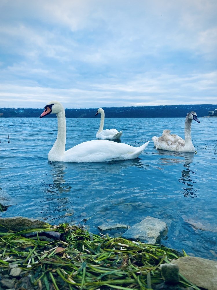 Photograph by Александр Истраткин